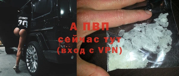 ECSTASY Богородицк