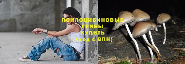 ALPHA-PVP Снежногорск