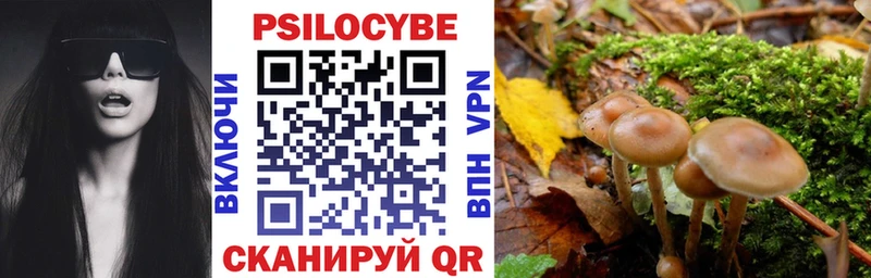 Галлюциногенные грибы Psilocybe hydra ССЫЛКА Невьянск