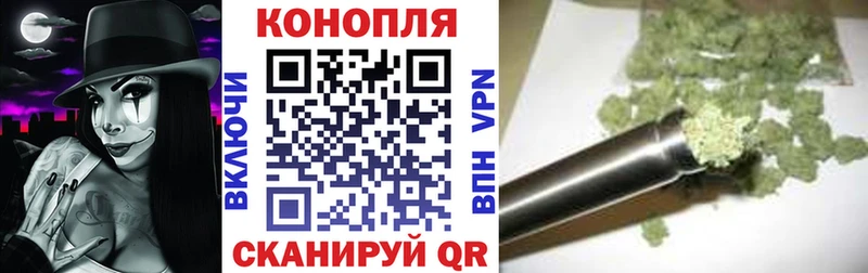 Конопля OG Kush купить Невьянск